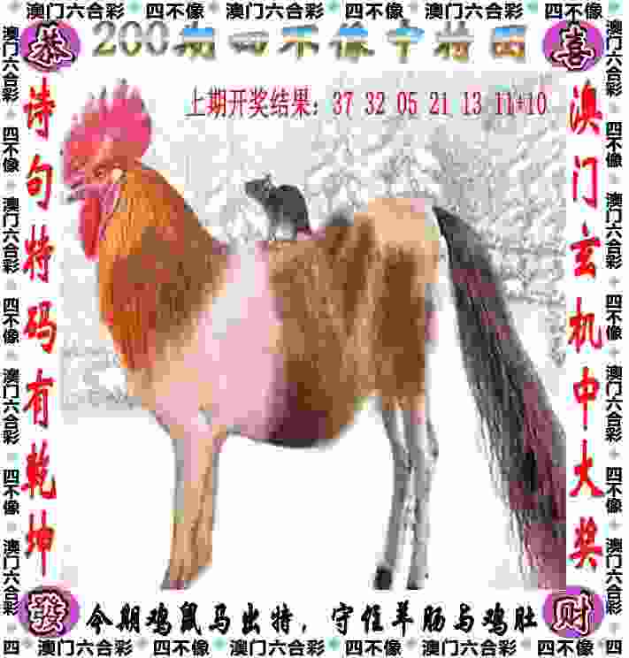 半岛时评丨用实力说话